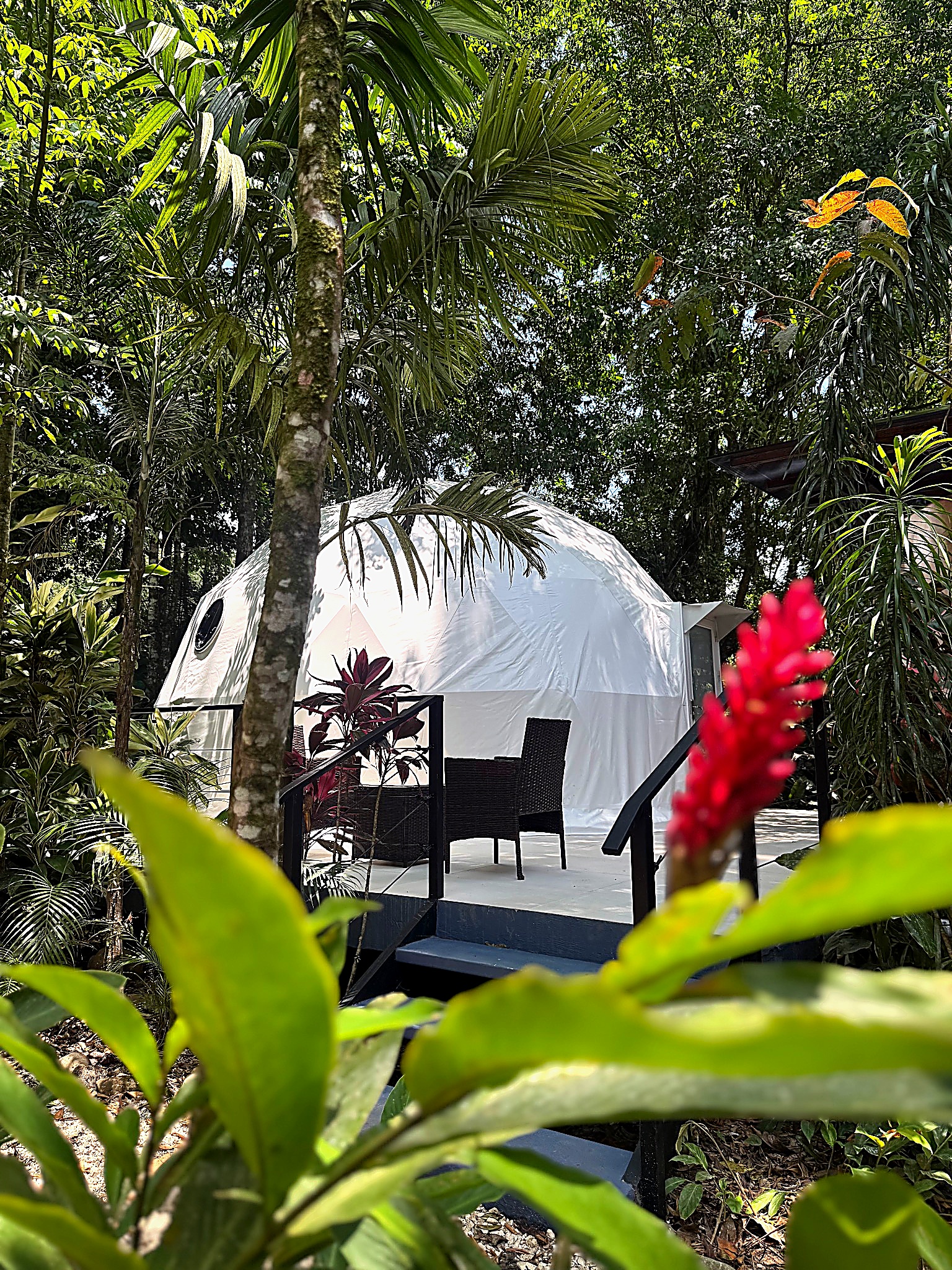 Geodesic dome framed by rainforest and red ginger flowers.