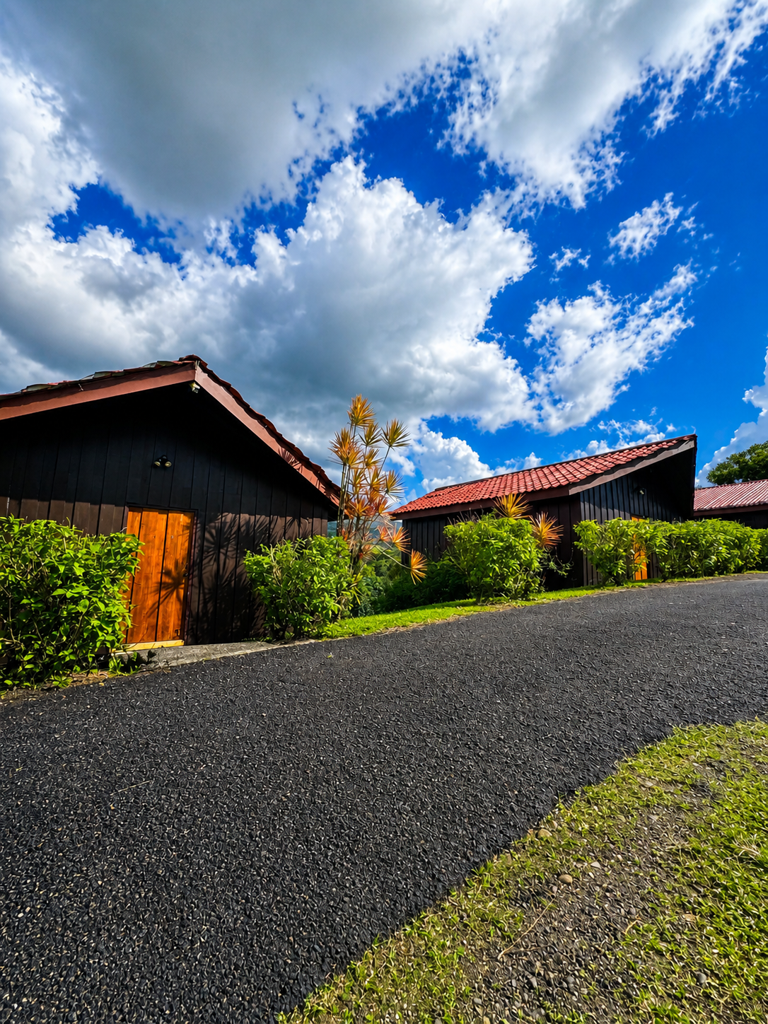 A row of La Roca Lodge bungalows along the property drive.