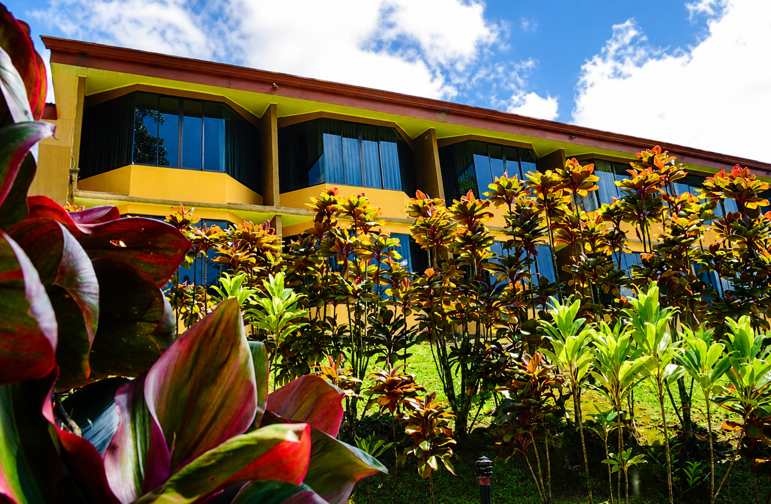 The main lodge building seen through lush tropical gardens.