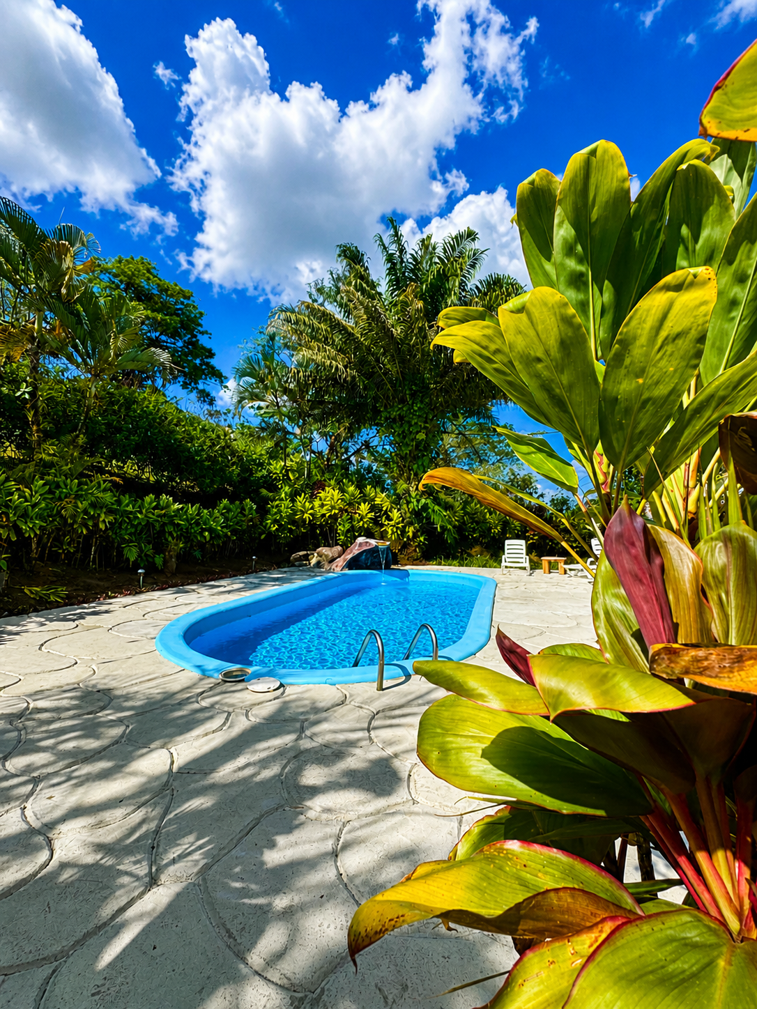 The pool area at La Roca Lodge surrounded by tropical landscaping.